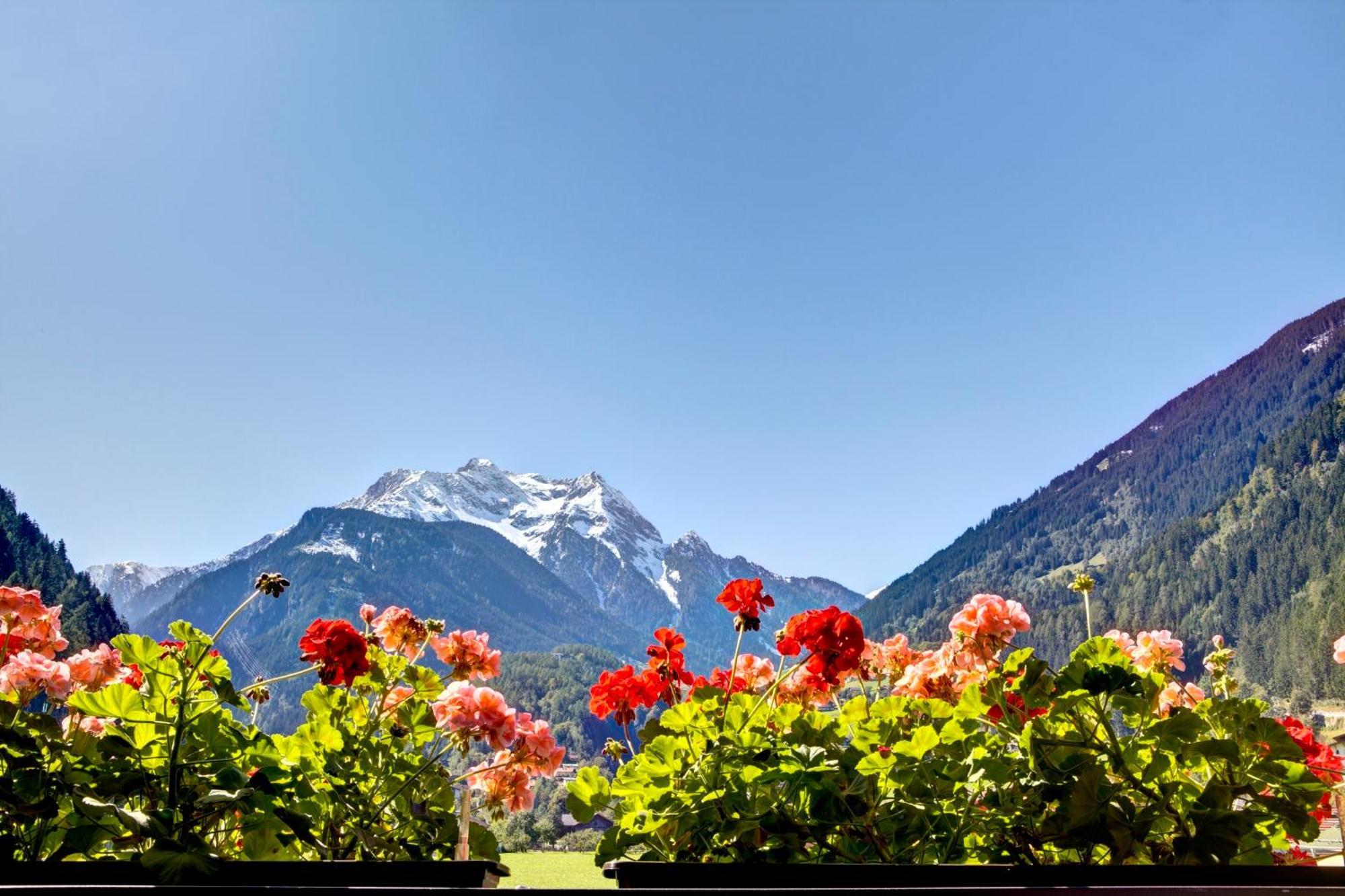 Gaestehaus Oblasser Mayrhofen Εξωτερικό φωτογραφία